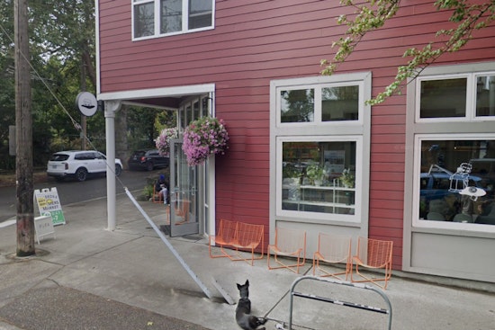 Matcha Darling Yoka Tea Plots Big Ballard Move