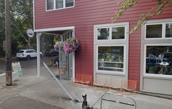 Matcha Darling Yoka Tea Plots Big Ballard Move