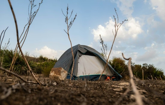 Maui Street Homelessness Surges While Neighbor Islands Tout Tiny Dip