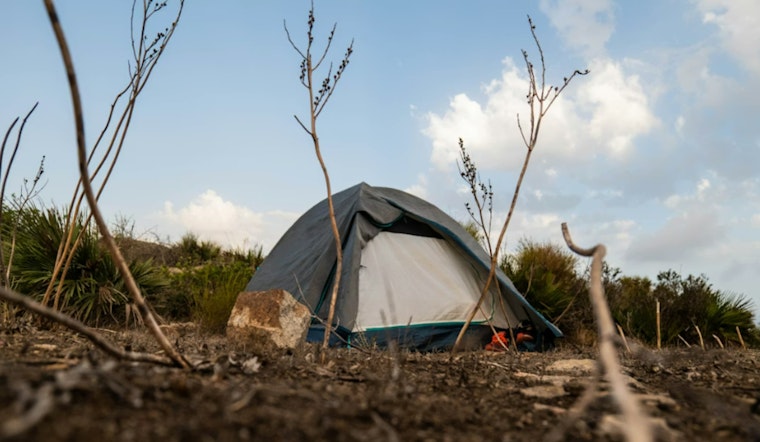Maui Street Homelessness Surges While Neighbor Islands Tout Tiny Dip