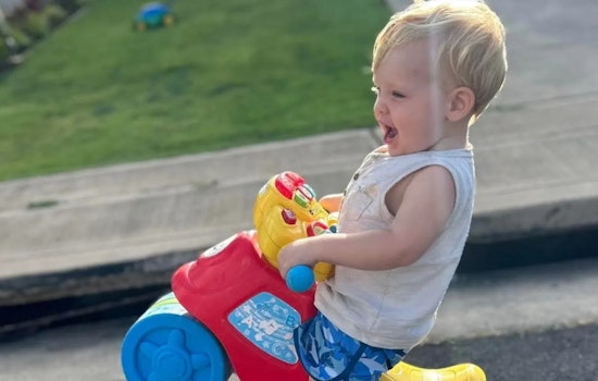 Maui Toddler Found Unresponsive in Cooler, Grieving Parents Demand Answers