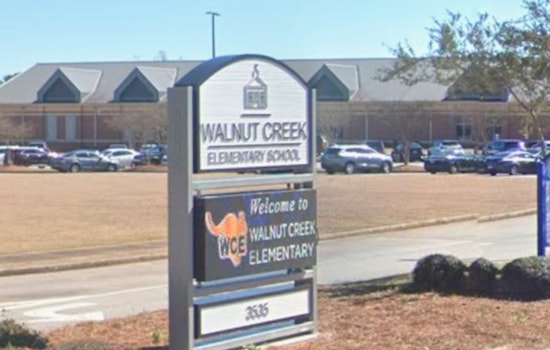 McDonough 8-Year-Old Benched After Lego 'Gun' Sparks School Suspense