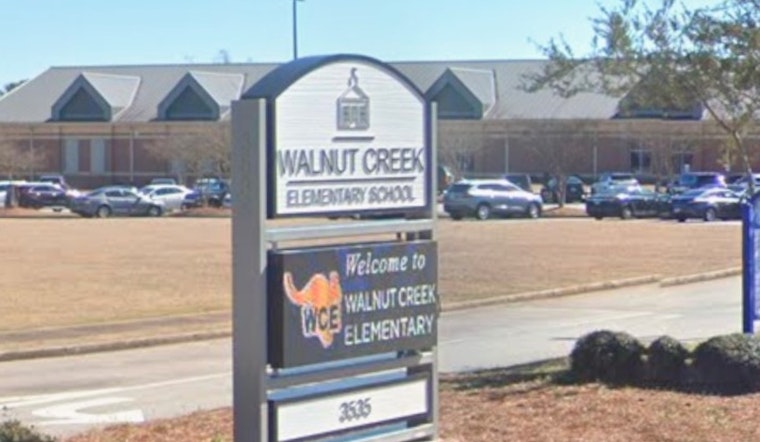 McDonough 8-Year-Old Benched After Lego 'Gun' Sparks School Suspense