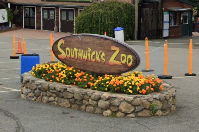 Mendon Sky Ride Scare as Man Plunges at Southwick’s Zoo