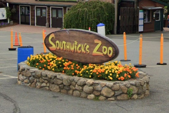 Mendon Sky Ride Scare as Man Plunges at Southwick’s Zoo