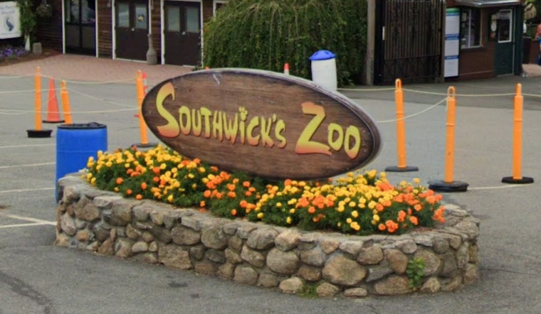 Mendon Sky Ride Scare as Man Plunges at Southwick’s Zoo