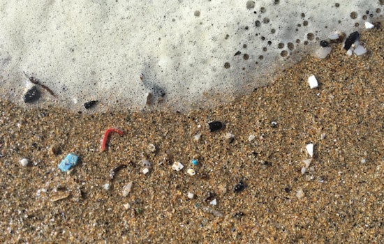Microplastics Lurking In Lake Michigan And Chicago Rivers, New Study Warns