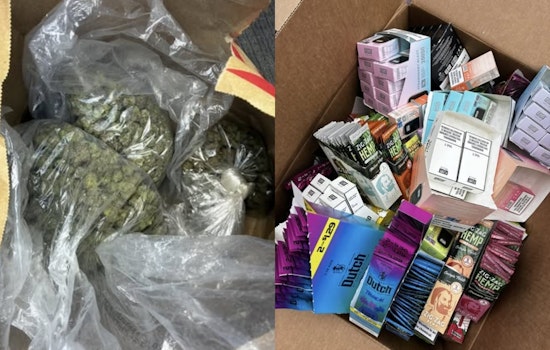Milpitas Smoke Shops Hit In Pot Raid, Cops Seize Cash And Weed