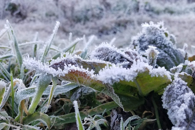 Milwaukee Frost Advisory Has City Shivering Before Big Warmup