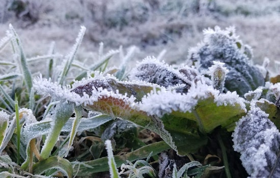 Milwaukee Frost Advisory Has City Shivering Before Big Warmup