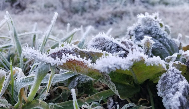 Milwaukee Frost Advisory Has City Shivering Before Big Warmup
