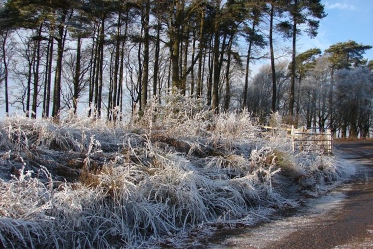 Milwaukee Wakes To Frost, Then Races Toward A Spring Warmup