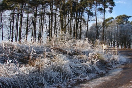 Milwaukee Wakes To Frost, Then Races Toward A Spring Warmup