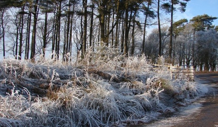 Milwaukee Wakes To Frost, Then Races Toward A Spring Warmup