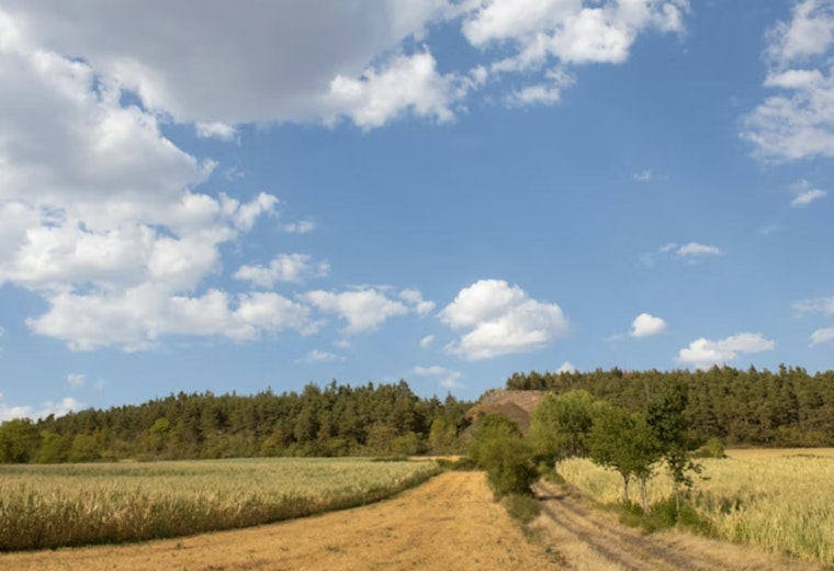 Minnesota Faces Smoky, Drier Summer