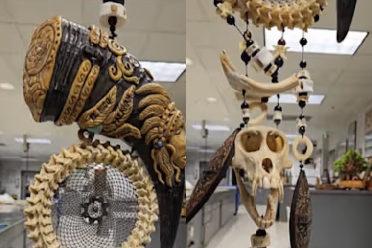 Monkey Skull Dreamcatcher Stopped Cold at Detroit Metro