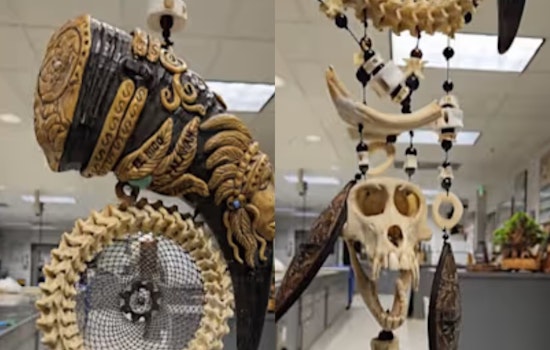 Monkey Skull Dreamcatcher Stopped Cold at Detroit Metro