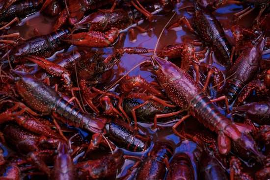 Mr. Shrimp Lights Up Marrero With Late-Night Crawfish Boils