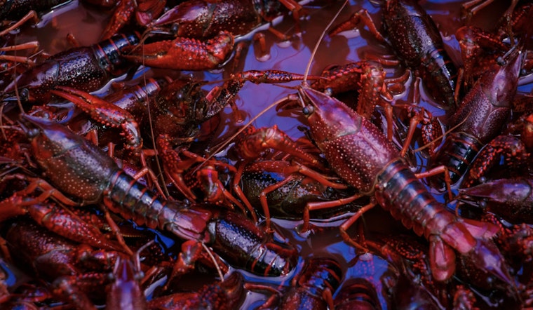 Mr. Shrimp Lights Up Marrero With Late-Night Crawfish Boils