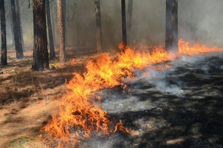 Mystery Fires Hit Foothill Boulevard As Crews Race Across Pasadena