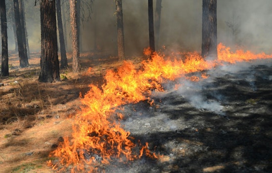 Mystery Fires Hit Foothill Boulevard As Crews Race Across Pasadena