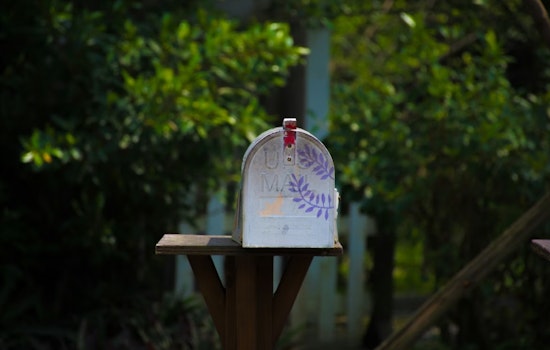 Mystery LLCs Turn Quiet SF Grandma's Mailbox Into A Paper Storm