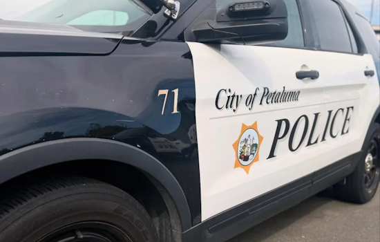 Mystery Meat Spill Snarls Traffic On Petaluma Boulevard North