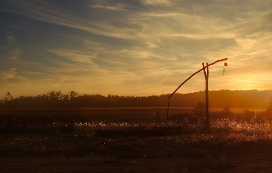 Mystery Oil Firm Skips Town, Sticks Illinois With 603 Orphan Wells