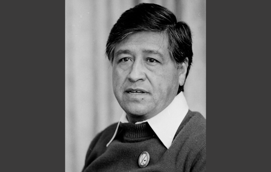 Napa Statue Showdown: Sculptor Backs Chavez Freeze