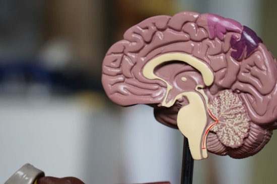 New Alzheimer’s Infusions Give Louisiana Patients A Fighting Chance
