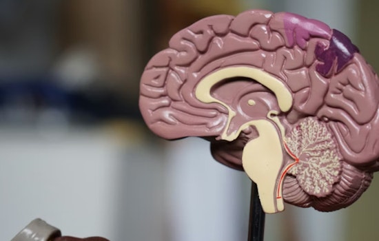 New Alzheimer’s Infusions Give Louisiana Patients A Fighting Chance