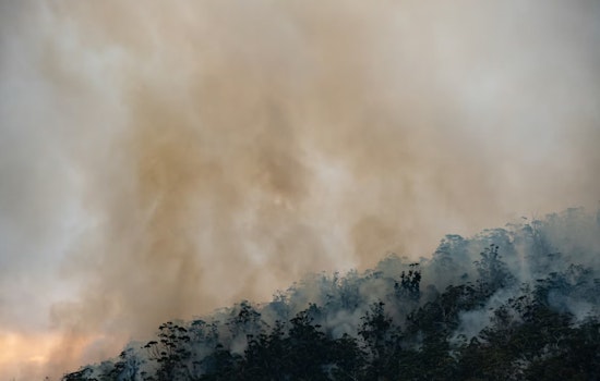 New Pepperwood Blaze Ignites On Private Land In Mendocino County