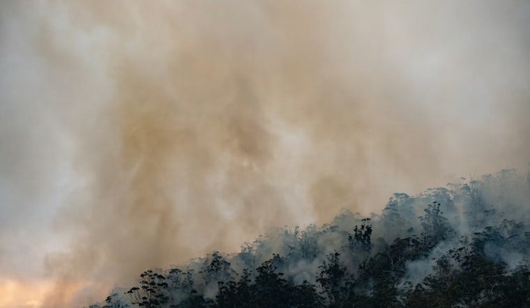 New Pepperwood Blaze Ignites On Private Land In Mendocino County