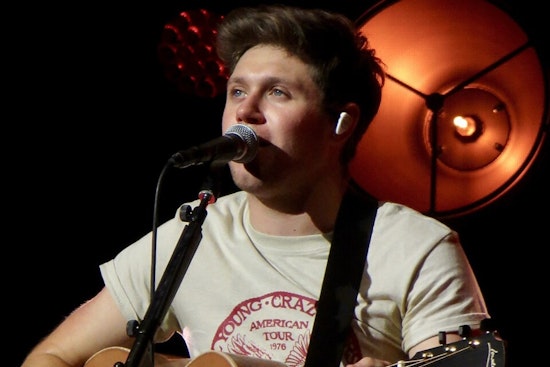 Niall Horan Books Detroit Arena Gig, Ticket Rush Coming In May
