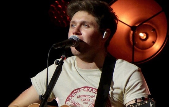Niall Horan Books Detroit Arena Gig, Ticket Rush Coming In May
