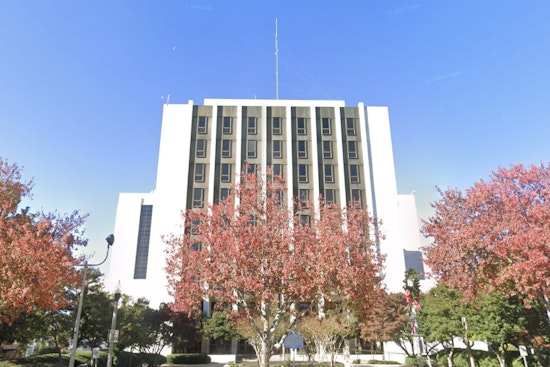 No Choice or Overkill? Emory Professors Hit University Over Gaza Quad Crackdown