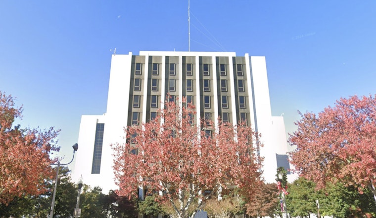 No Choice or Overkill? Emory Professors Hit University Over Gaza Quad Crackdown