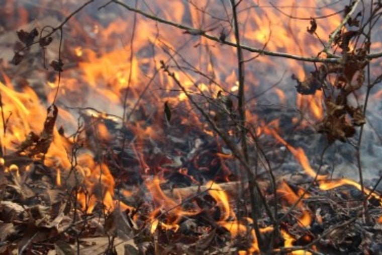 No Sizzle In The Queen City, Mecklenburg Parks Snuff Out Grills As Drought Deepens