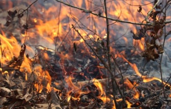 No Sizzle In The Queen City, Mecklenburg Parks Snuff Out Grills As Drought Deepens