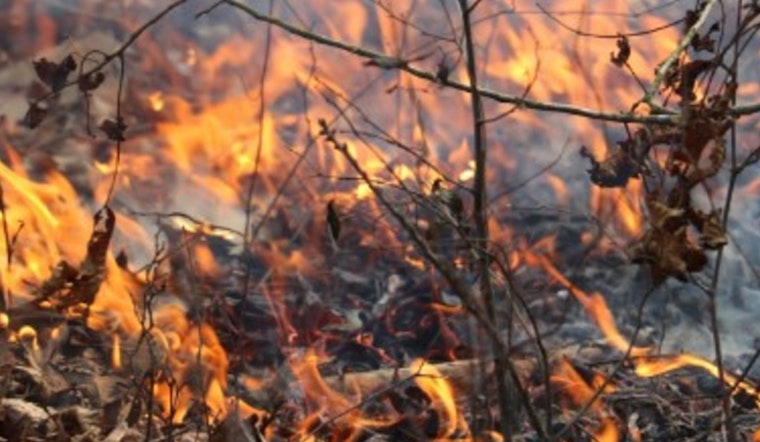 No Sizzle In The Queen City, Mecklenburg Parks Snuff Out Grills As Drought Deepens