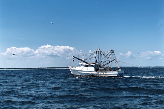 No Suspicion, No Stop: Louisiana Bill Targets Random Boat Boardings