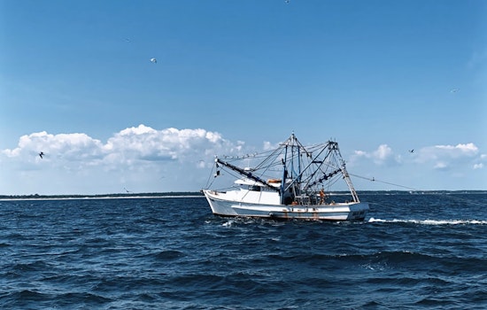 No Suspicion, No Stop: Louisiana Bill Targets Random Boat Boardings