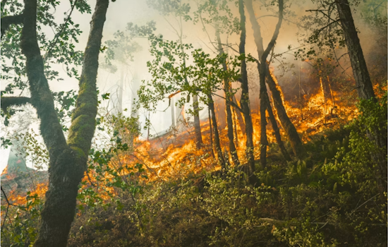 Northern Michigan On A Knife's Edge As Wildfire Risk Soars