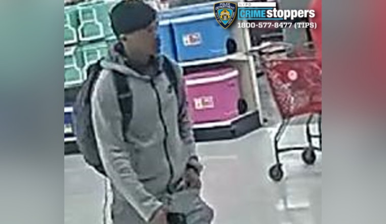 NYPD Hunts Gun-Toting Dash‑Cam Thief At Atlantic Terminal