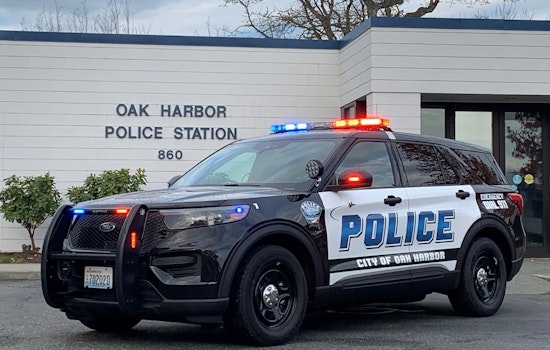Oak Harbor Toddler’s Suspected Fentanyl Death Leads To Manslaughter Case Against Mom