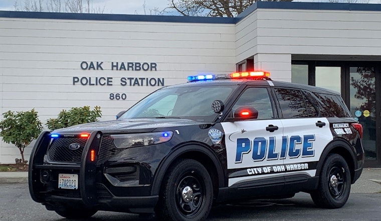 Oak Harbor Toddler’s Suspected Fentanyl Death Leads To Manslaughter Case Against Mom