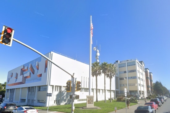 Oakland Shelter Dogs Allegedly Shot, Dumped in Humboldt 'Rescue' Grave