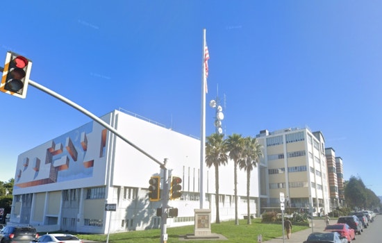 Oakland Shelter Dogs Allegedly Shot, Dumped in Humboldt 'Rescue' Grave