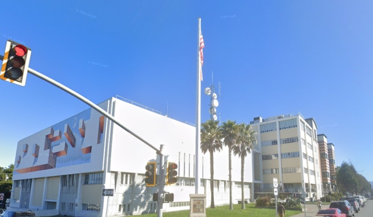 Oakland Shelter Dogs Allegedly Shot, Dumped in Humboldt 'Rescue' Grave