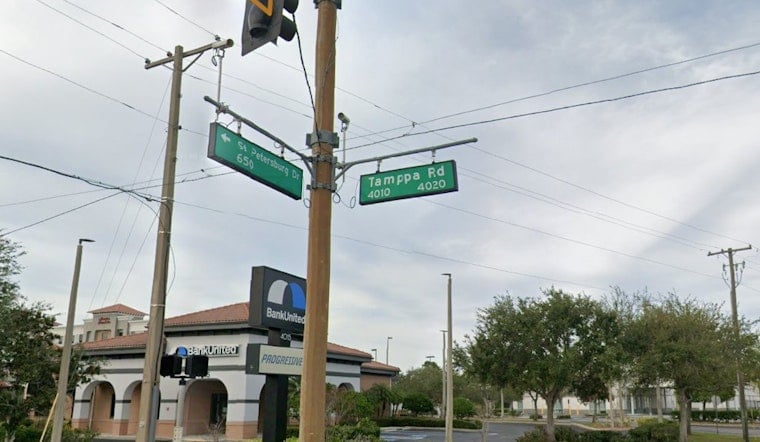 Oldsmar Commute Horror As 6-Year-Old Left Clinging To Life In Tampa Road Crash